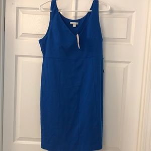 Blue New York and Company Dress NWT